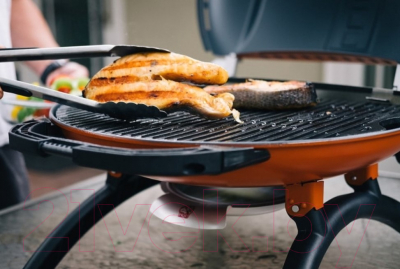 Газовый гриль O-GRILL 900MT (Bicolor Gold)