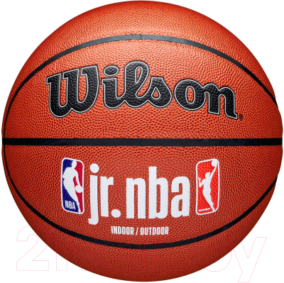 Баскетбольный мяч Wilson JR.NBA Fam Logo Indoor Outdoor / WZ2009801XB5 (размер 5)