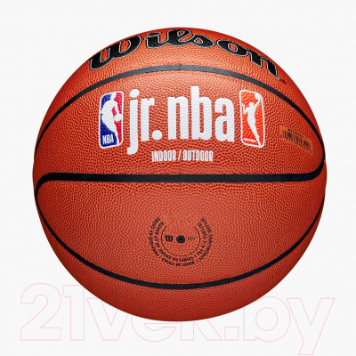 Баскетбольный мяч Wilson JR.NBA Fam Logo Indoor Outdoor / WZ2009801XB5 (размер 5)