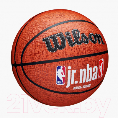 Баскетбольный мяч Wilson JR.NBA Fam Logo Indoor Outdoor / WZ2009801XB5 (размер 5)