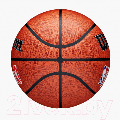 Баскетбольный мяч Wilson JR.NBA Fam Logo Indoor Outdoor / WZ2009801XB5 (размер 5)