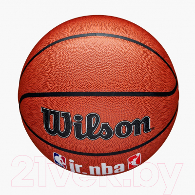 Баскетбольный мяч Wilson JR.NBA Fam Logo Indoor Outdoor / WZ2009801XB5 (размер 5)