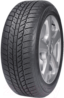 Зимняя шина Evergreen EW62 195/55R15 85H