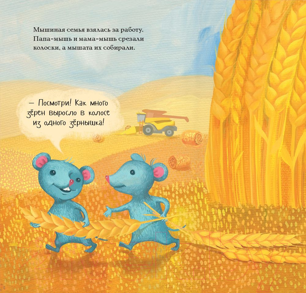 Художественная книга Попурри Где растет печенье? (Тата С.) — фото 3