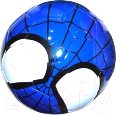 Футбольный мяч ZEZ Sport FT8