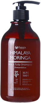 Шампунь для волос Pogonia Черный тюльпан с маслом моринги для себорегуляции кожи головы (500мл)