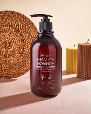 Шампунь для волос Pogonia Черный тюльпан с маслом моринги для себорегуляции кожи головы (500мл)