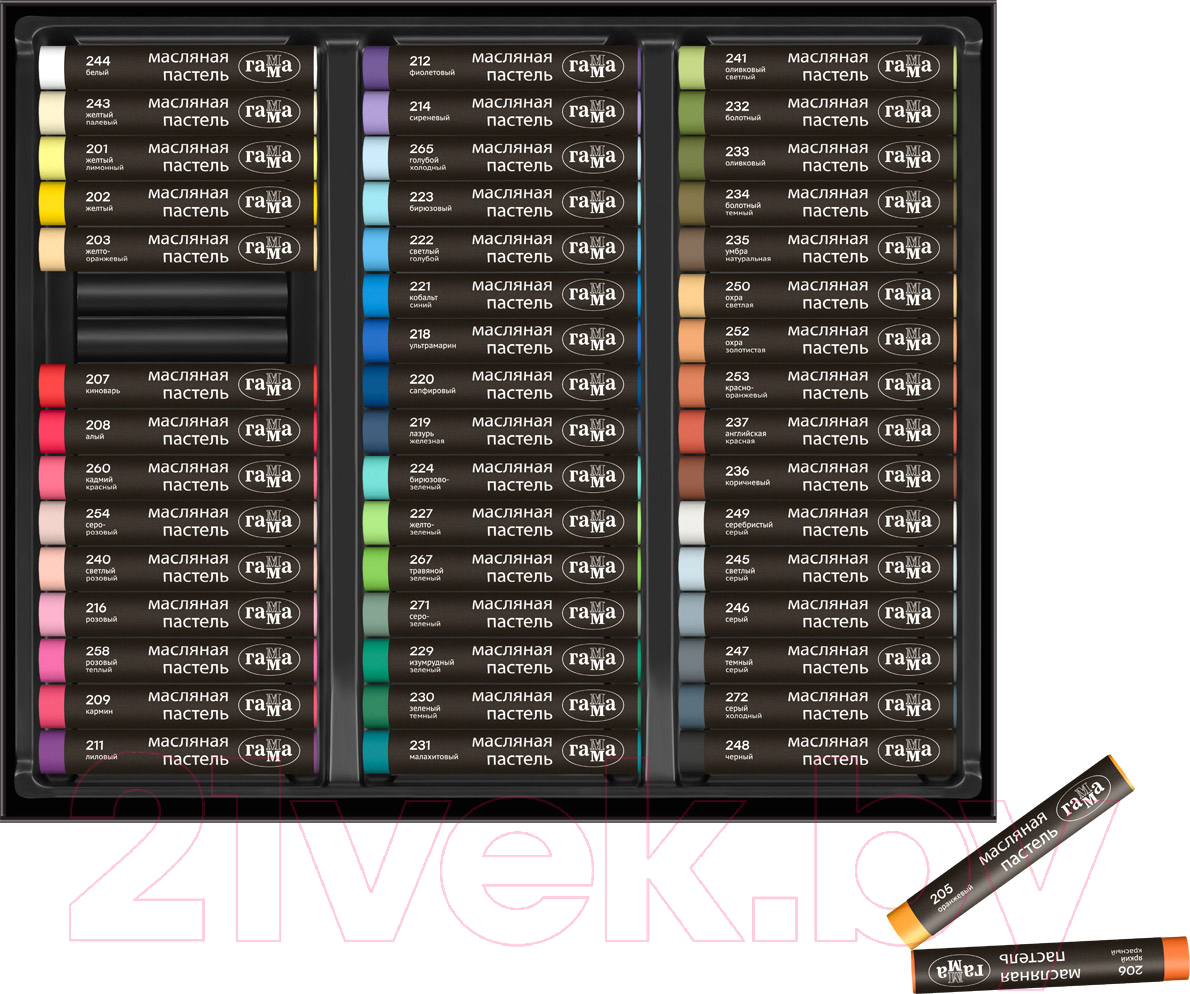 Набор масляной пастели ГАММА 5042348