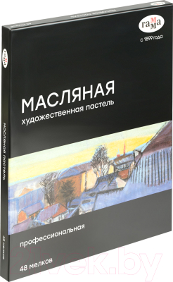 Набор масляной пастели ГАММА 5042348 (48цв)