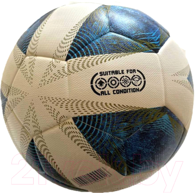 Футбольный мяч Gold Cup Panama (синий/белый)
