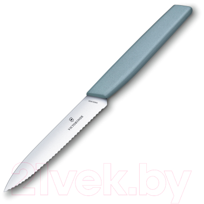 Нож Victorinox Swiss Modern 6.9006.10W21