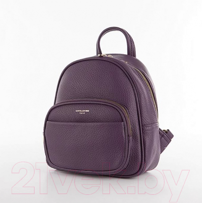 Рюкзак David Jones 823-7000-2-PRP (фиолетовый)