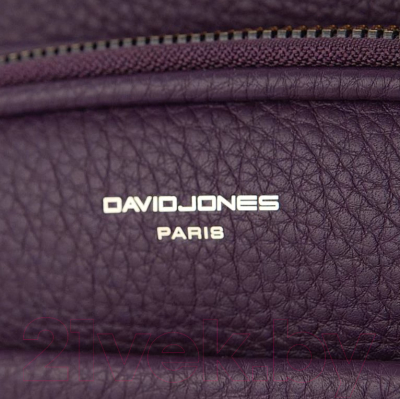 Рюкзак David Jones 823-7000-2-PRP (фиолетовый)