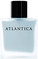 Парфюмерная вода Dilis Parfum Atlantica Silver Moon (100мл) - 