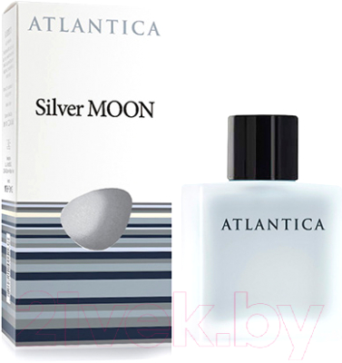 Парфюмерная вода Dilis Parfum Atlantica Silver Moon (100мл)
