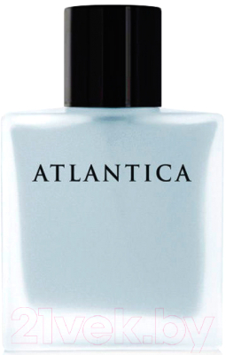 Парфюмерная вода Dilis Parfum Atlantica Silver Moon (100мл)