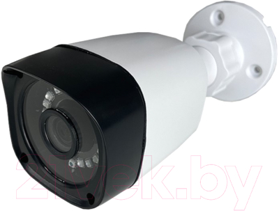 Аналоговая камера Arsenal AR-T220 (3.6mm)
