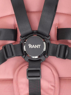 Детская универсальная коляска Rant Falcon 2 в 1 / RA097 (розовый)