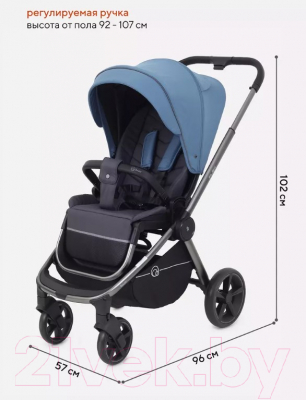 Детская прогулочная коляска Rant Flex Pro 2023 / RA099 (синий)