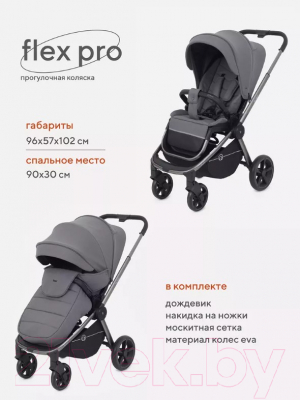 Детская прогулочная коляска Rant Flex Pro 2023 / RA099 (серый)