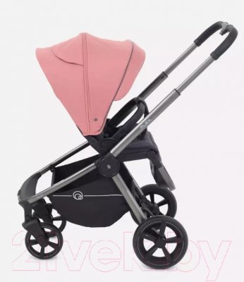 Детская прогулочная коляска Rant Flex Pro 2023 / RA099 (розовый)