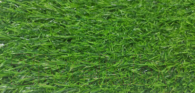 Искусственная трава Greenery Lawn NQS-1812 18мм (4x1м)