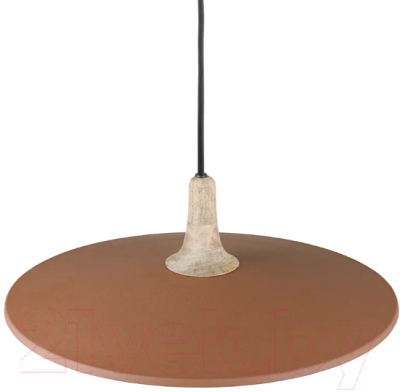 Потолочный светильник Bergenson Bjorn Mango Pyor / BB0000448 (коричневый)