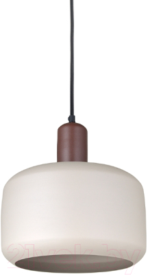 Потолочный светильник Bergenson Bjorn Juko / BB0000422 (вишневый)