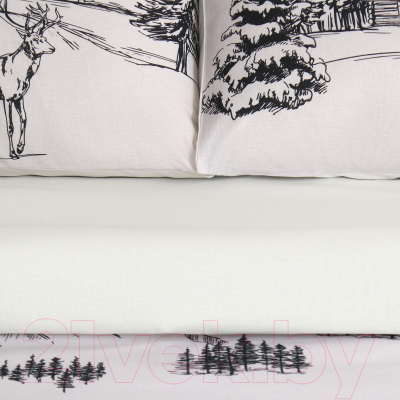 Комплект постельного белья Этель Winter Landscape 1.5сп / 9823936
