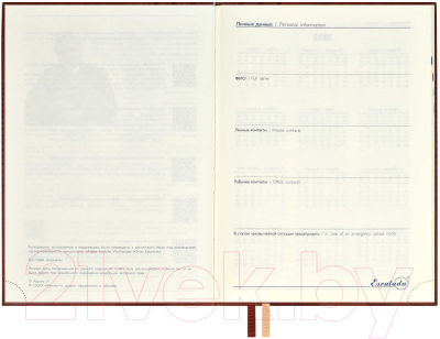 Ежедневник Escalada Амальфи 2024 / 63723 (коричневый)