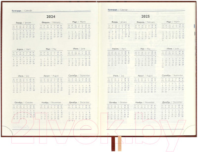 Ежедневник Escalada Амальфи 2024 / 63723 (коричневый)