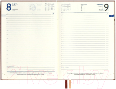 Ежедневник Escalada Амальфи 2024 / 63723 (коричневый)