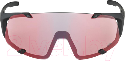 Очки солнцезащитные Alpina Sports Hawkeye S Qv / A86935-31 (черный матовый)