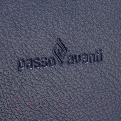 Сумка Passo Avanti 500-821-1-NAV (синий)