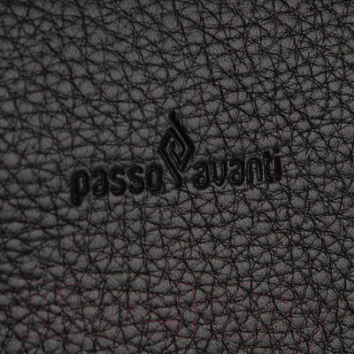 Сумка Passo Avanti 877-1231-960-BLK (черный)