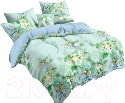 Комплект постельного белья Luxsonia Цветущий сад Евро / Пт6165/220 (70x70)