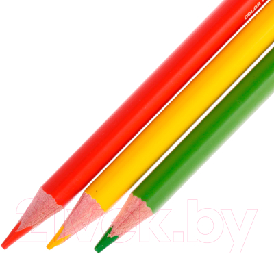Набор цветных карандашей Bruno Visconti EasyColor / 30-0031 (24цв)