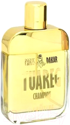 Туалетная вода Positive Parfum Tuareg Champion (100мл)