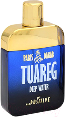 Туалетная вода Positive Parfum Tuareg Deep Water (100мл)
