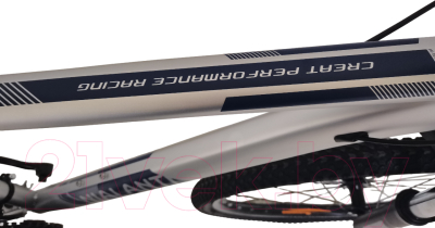 Велосипед Nialanti ForsaJ MD 29 2024 (21.5, серый матовый)