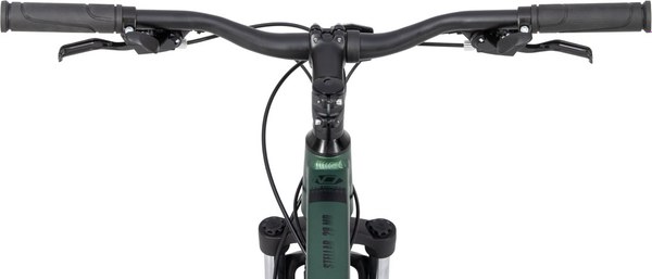 Велосипед Nialanti Stellar MD 29 2024 (21.5, зеленый матовый)