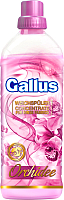 

Кондиционер для белья Gallus, Орхидея