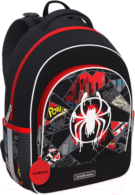 Школьный рюкзак Erich Krause ErgoLine 15L Spiderweb / 60102