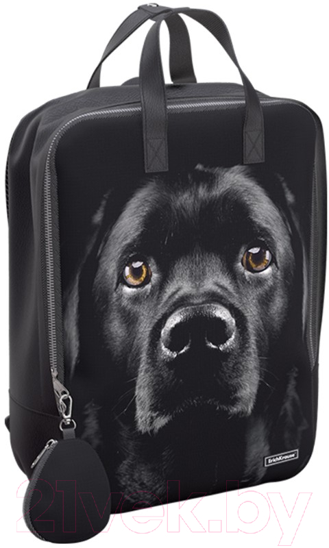 Рюкзак Erich Krause StreetLine 16L Black Dog / 60343