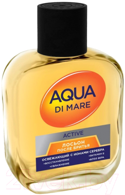 Лосьон после бритья Everjoy Aqua Di Mare Active (100мл)