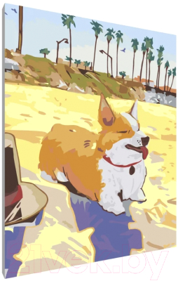 Картина по номерам PaintLine Корги на пляже
