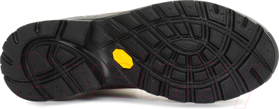 Трекинговые ботинки Asolo Evo GV MM / A23128-A034 (р-р 10.5, Major/коричневый)