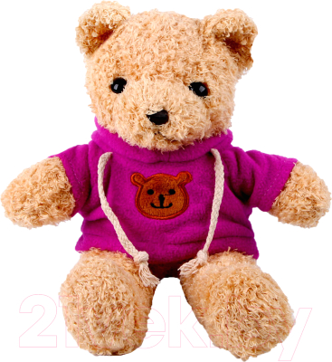 Мягкая игрушка Sima-Land Медведь в кофте / 9716907 (фиолетовый)
