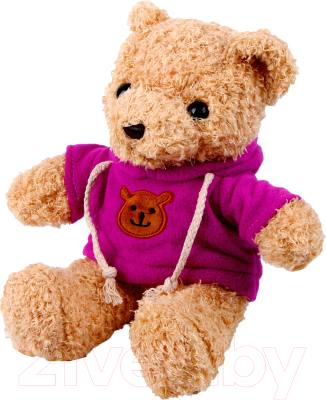 Мягкая игрушка Sima-Land Медведь в кофте / 9716907 (фиолетовый)