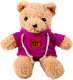 Мягкая игрушка Sima-Land Медведь в кофте / 9716907 (фиолетовый) - 